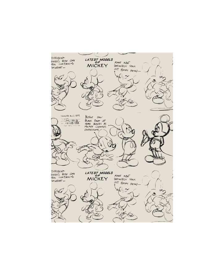 Disney - Mickey Mouse Latest Models of Mickey