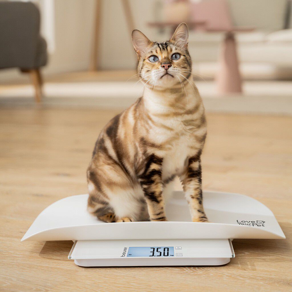 PetCare PP 170 Polly Multifunktionsv&aring;g f&ouml;r husdjur