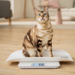 PetCare PP 170 Polly Multifunktionsvåg för husdjur