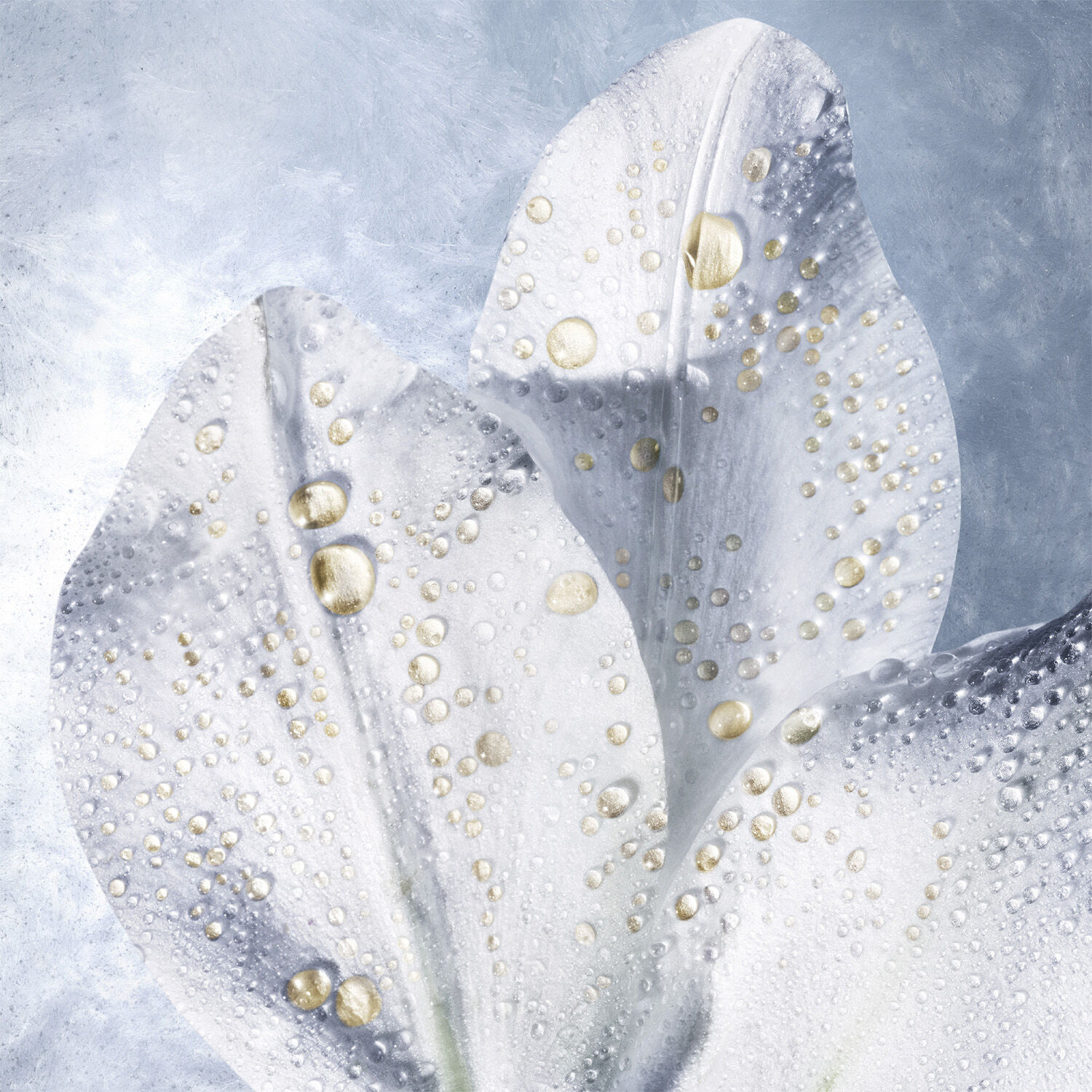 Helena Rubinstein Prodigy Cellglow Oilixir 30ml