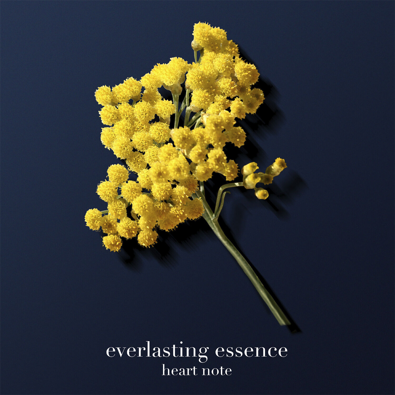 Acqua di Gi&ograve; Profondo Parfum