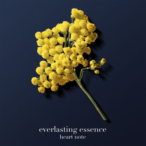 Acqua di Giò Profondo Parfum