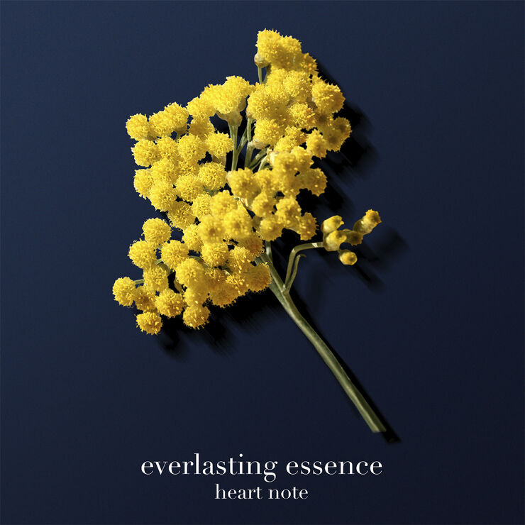 Acqua di Giò Profondo Parfum