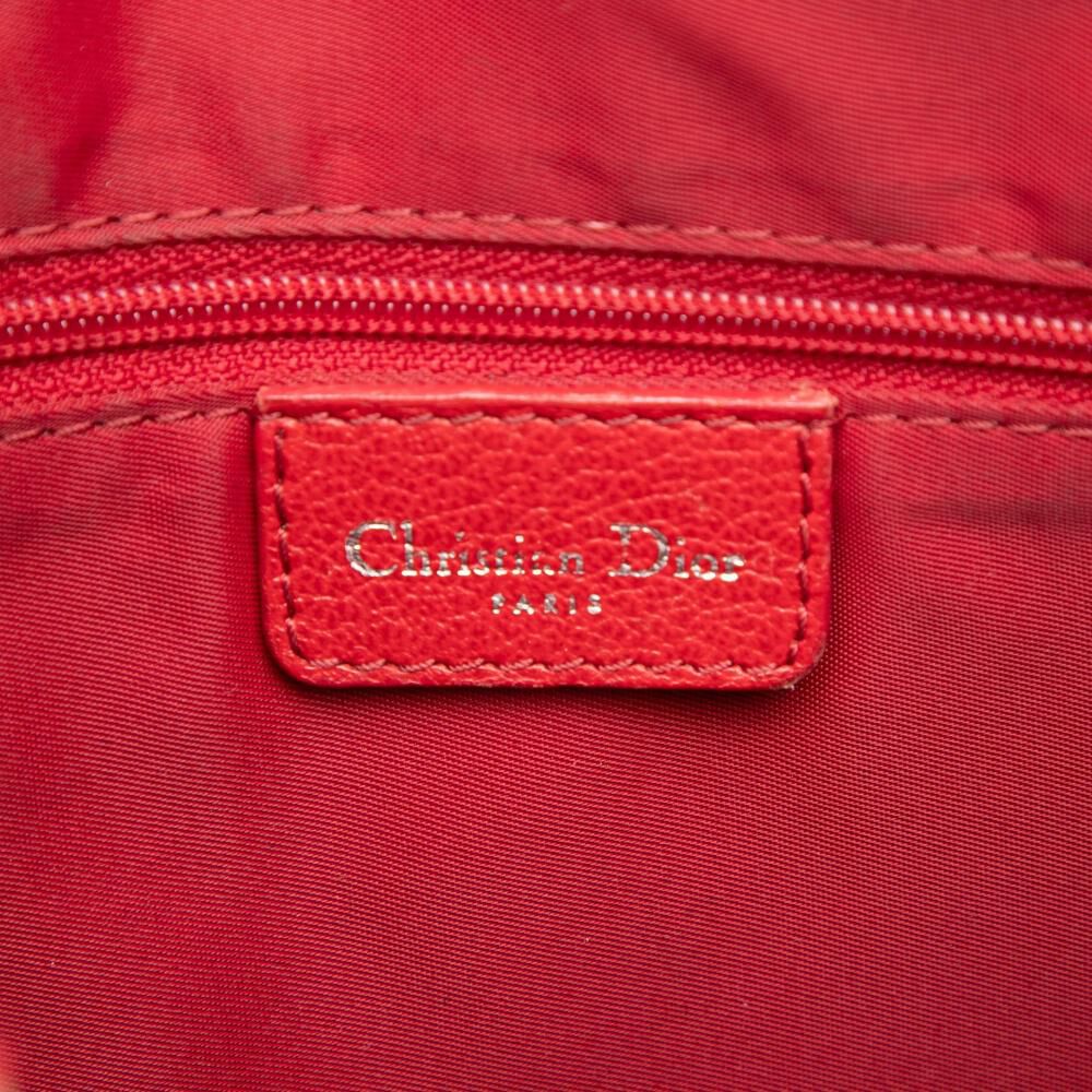 Dior Crossbody Bag