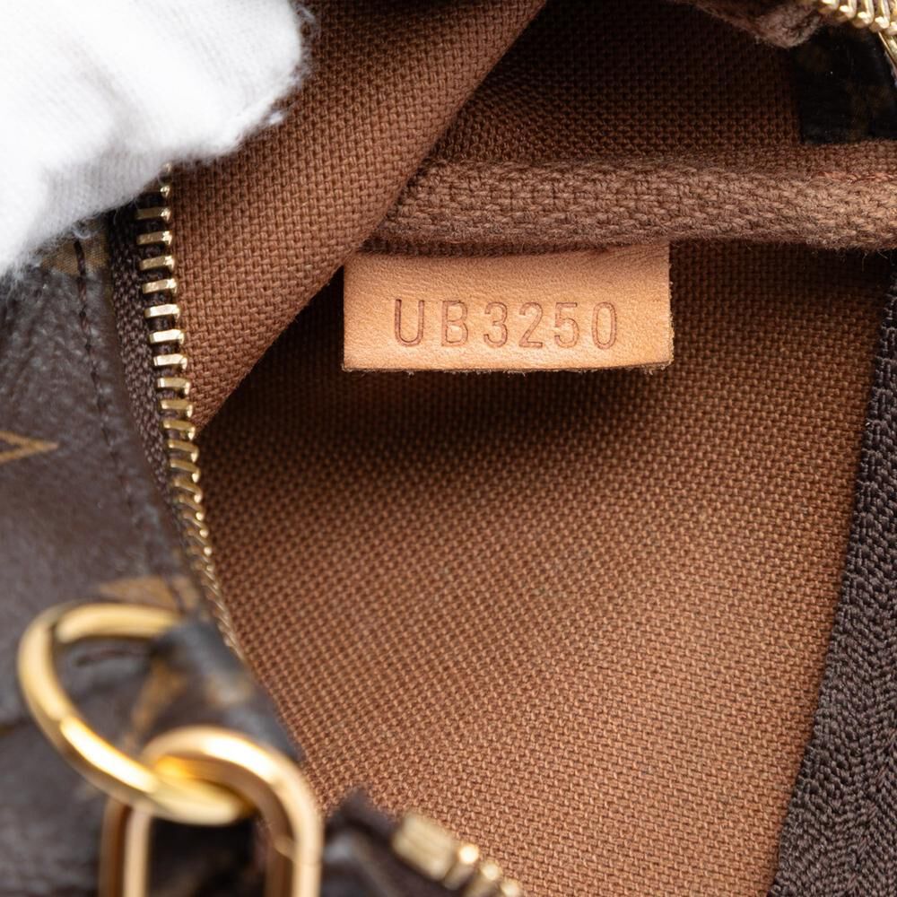 Louis Vuitton Pochette Accessoires