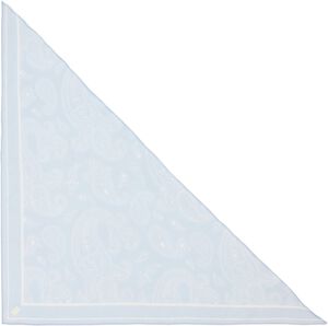 Paisley Triangle Scarf