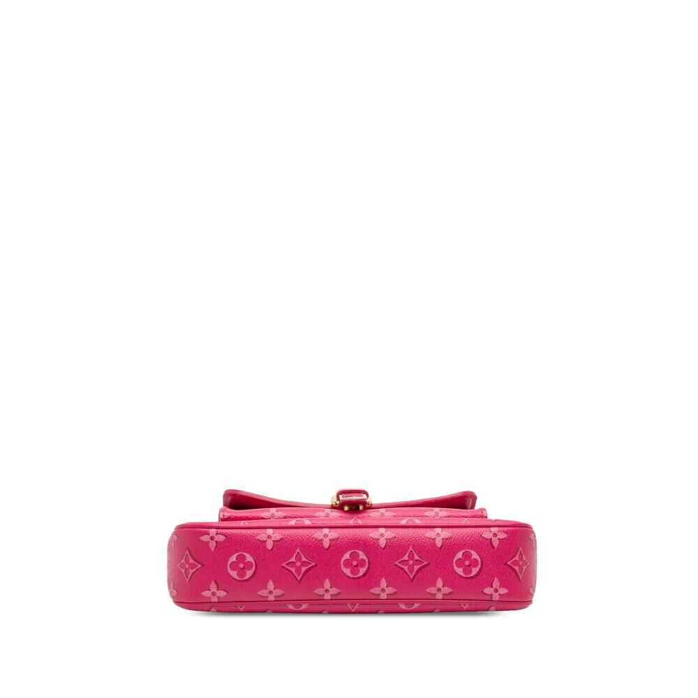 Louis Vuitton Multi Pochette Accessoires