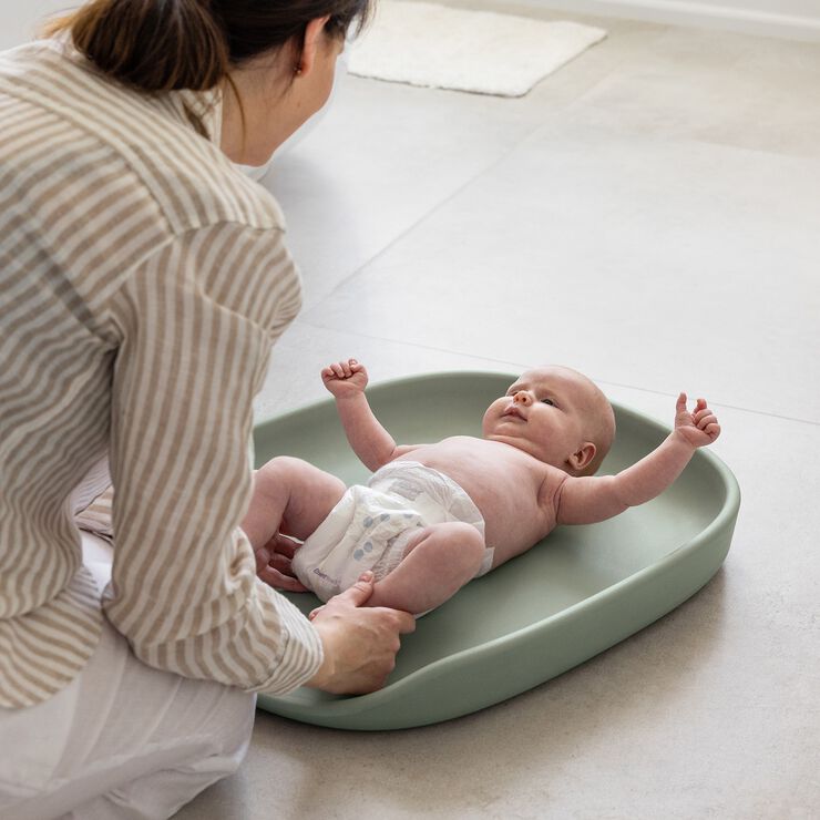 Sebra puslepude, seagrass