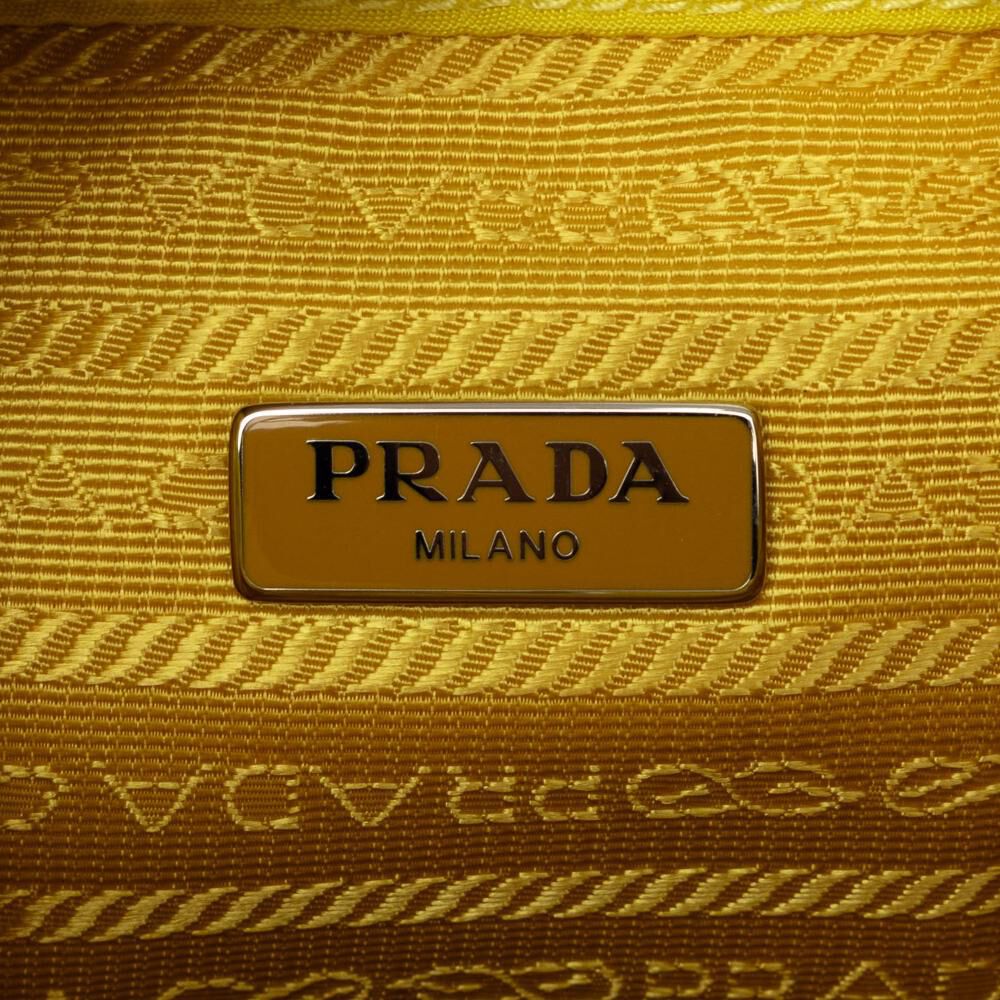Prada Pouch