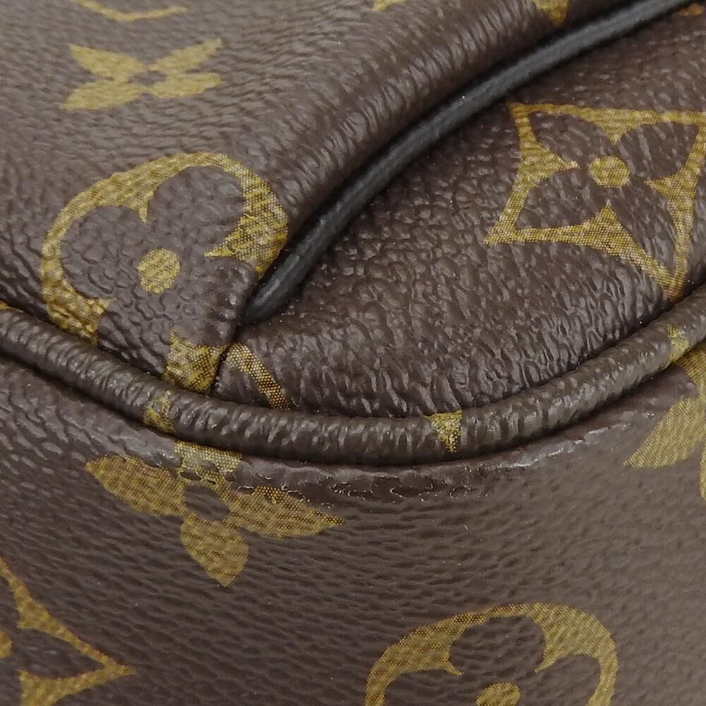 Louis Vuitton Bumbag