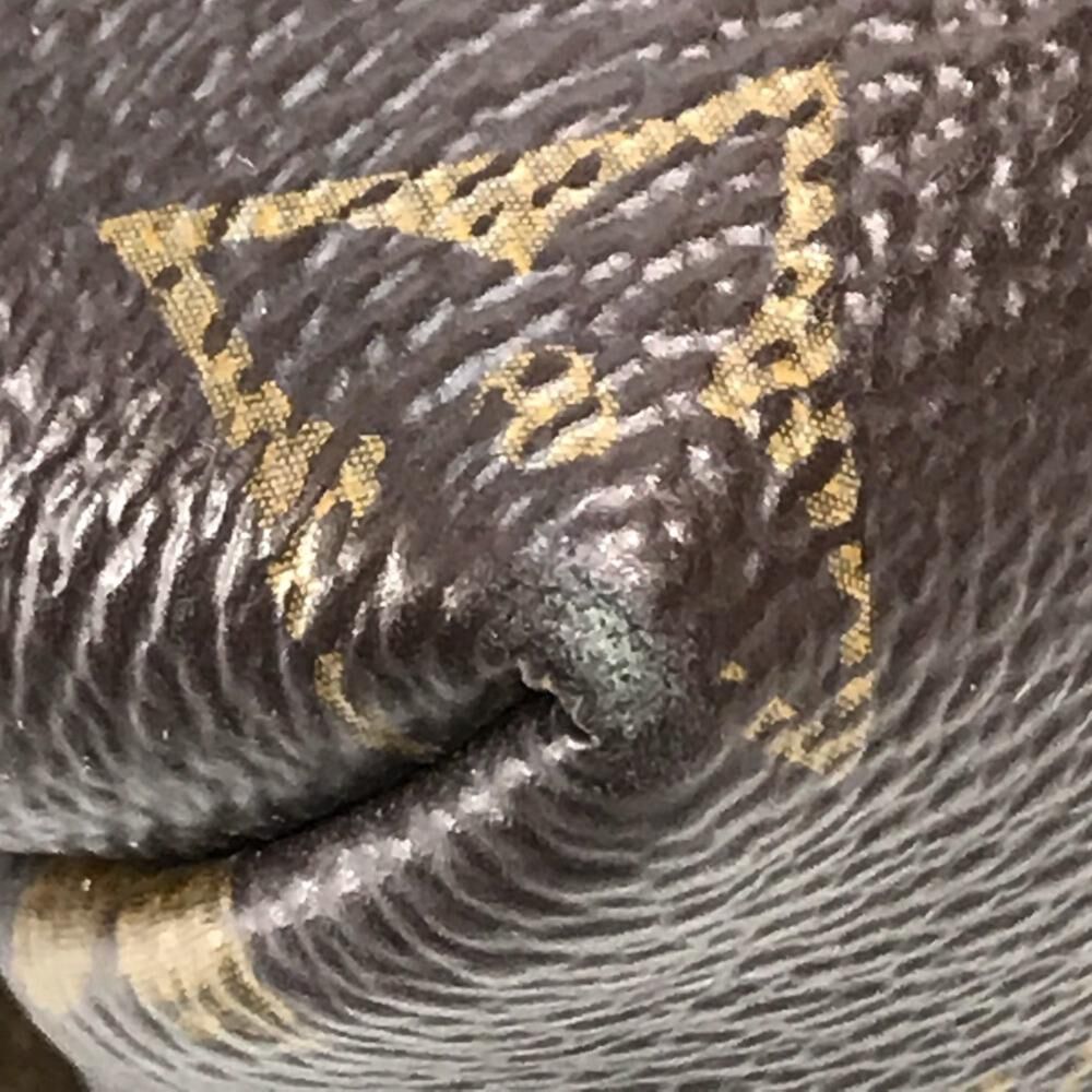 Louis Vuitton Shoulder Bags