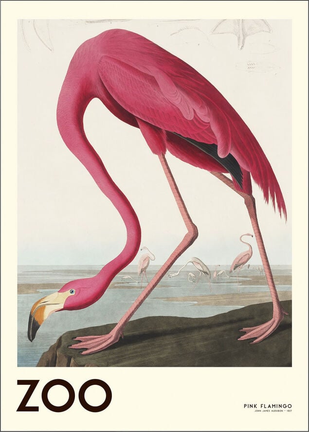 The Zoo Collection Pink Flamingo Edt. 001