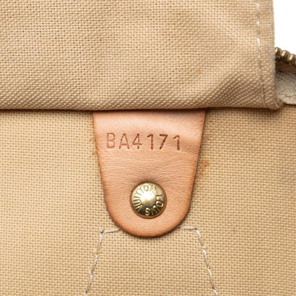 Louis Vuitton Speedy