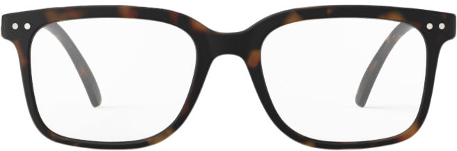 READING  #L Tortoise