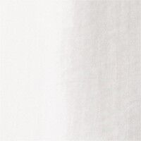 Shirt with pintuck detailing and bu