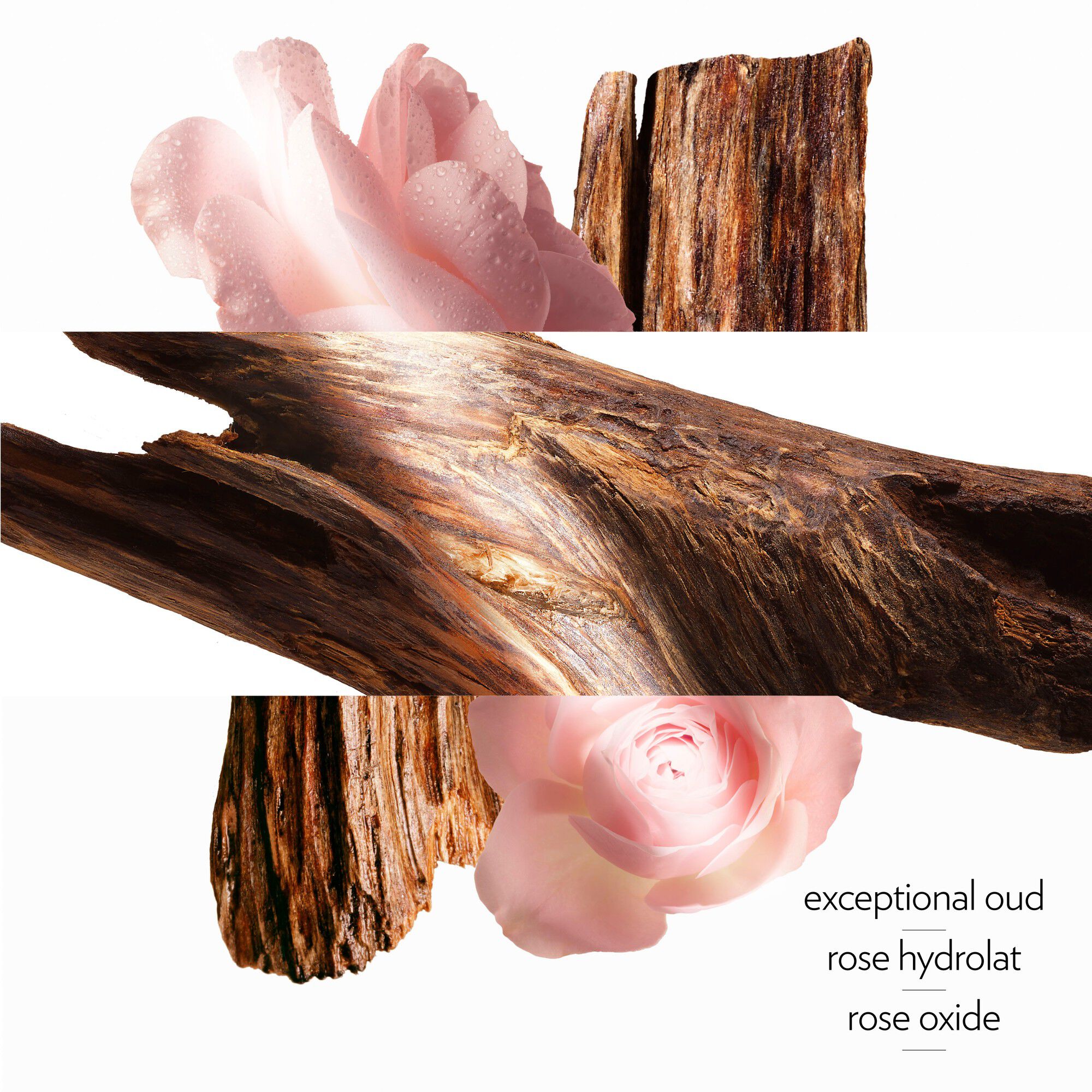 HERMESSENCE OUD ALEZAN CREAM OF PERFUME 200ML