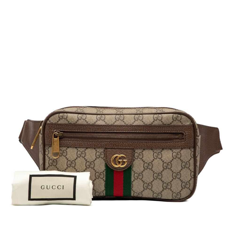 Gucci Belt Bag