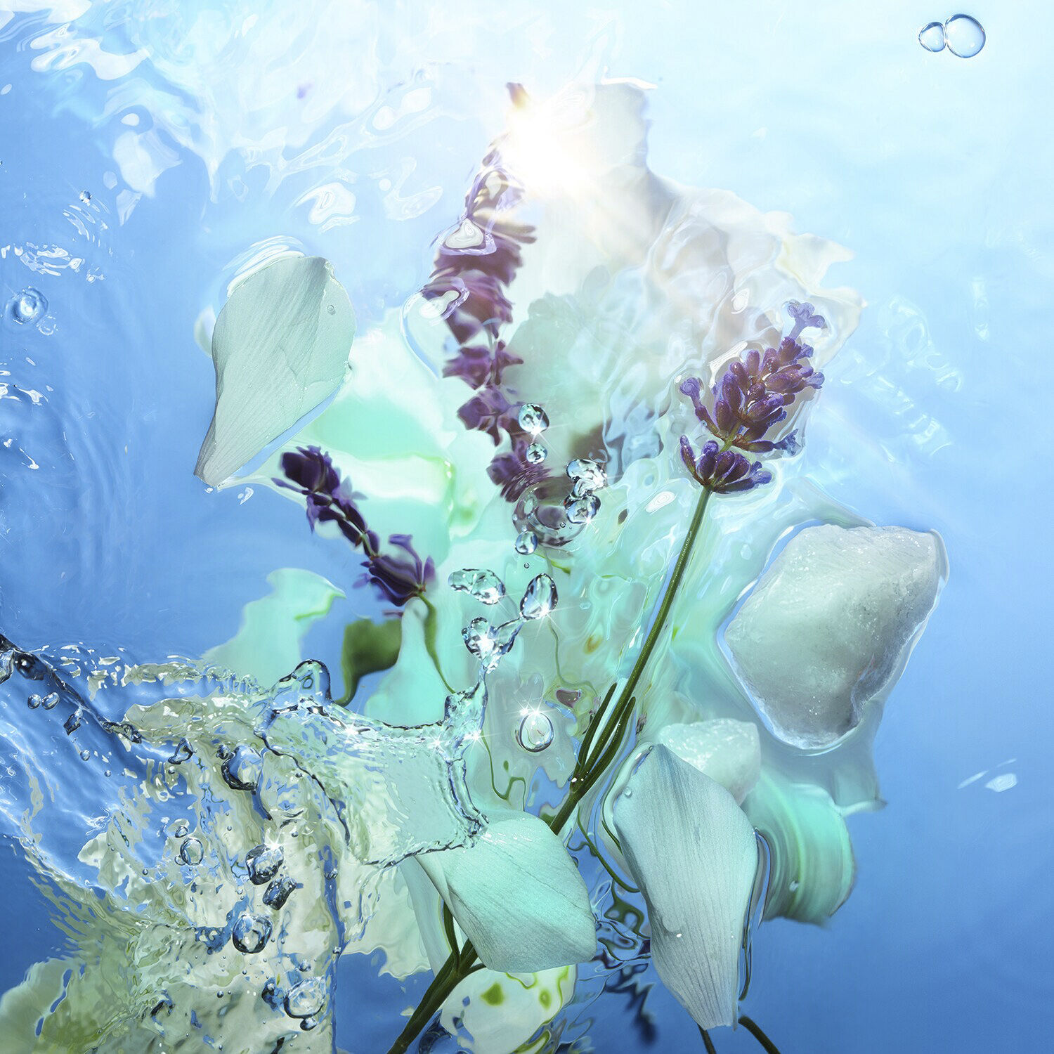 Calm Bliss - Eau de Parfum