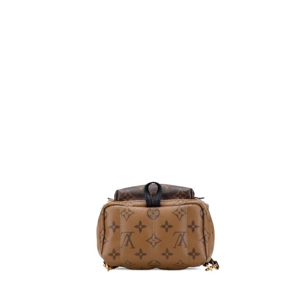 Louis Vuitton Palm Springs