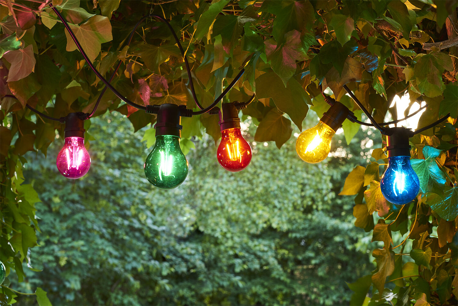 Tobias, Suppl. s&aelig;t,10L, Multi