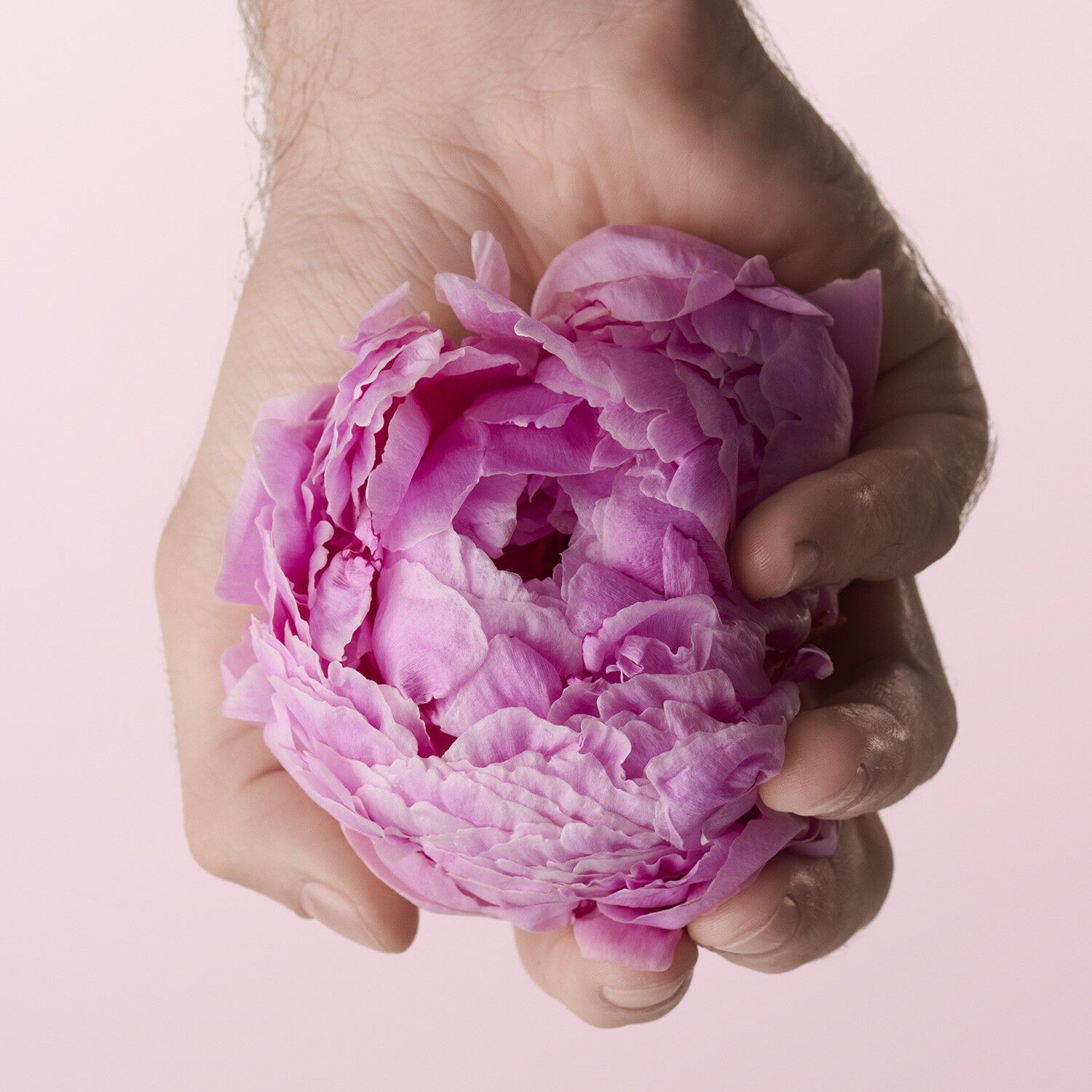 V&aring;rdande, vispat kroppssm&ouml;r (body butter) - 24-timmars &aring;terfuktning