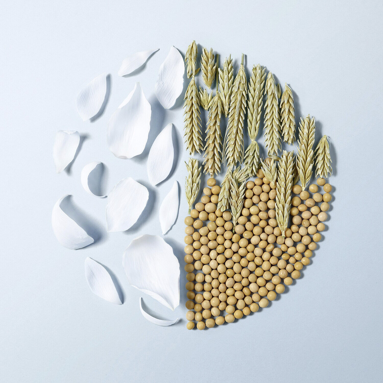 Hydratation Flow - Hybrid Cleansing Milky Foam