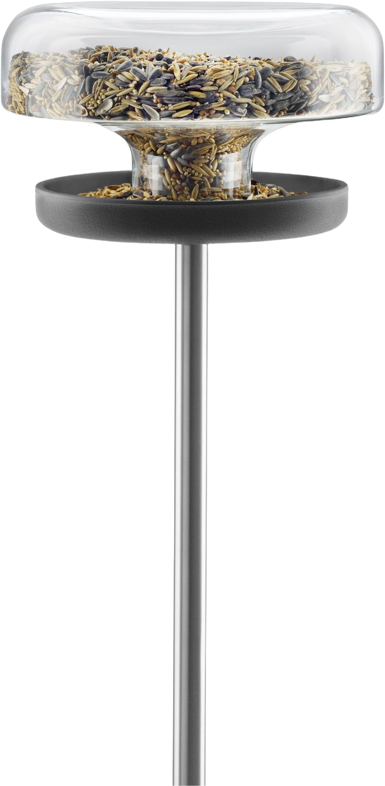 F?gelmatare till f?nstret