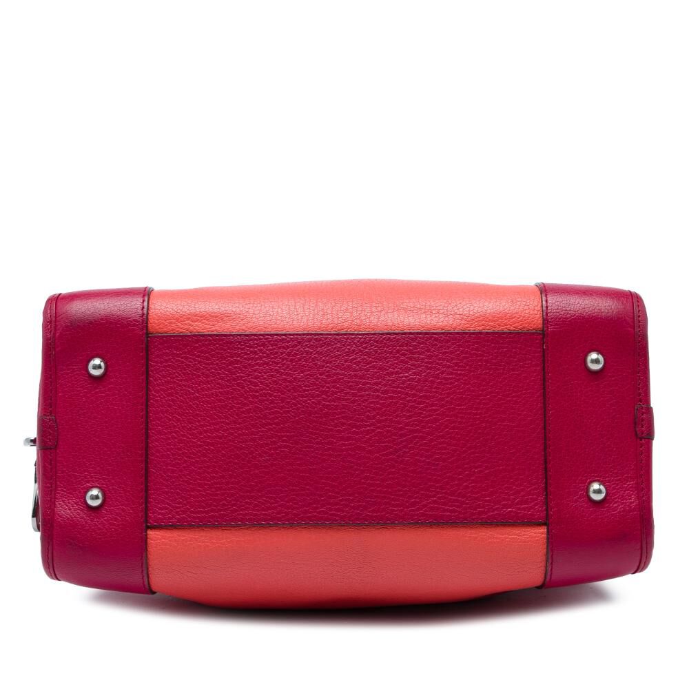Loewe Amazona