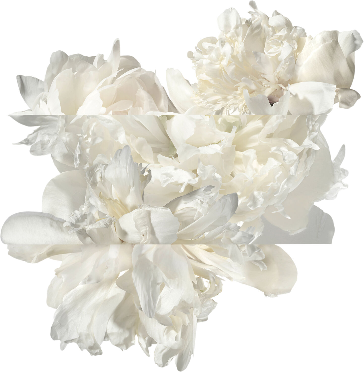 TWILLY D'HERM&Egrave;S EAU GINGER EAU DE PARFUM