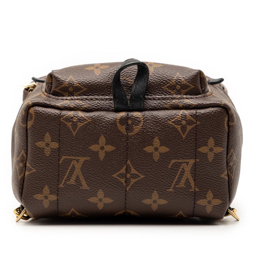 Louis Vuitton Palm Springs