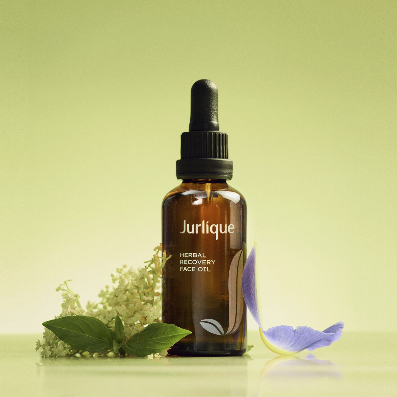 Herbal Recovery Face Oil