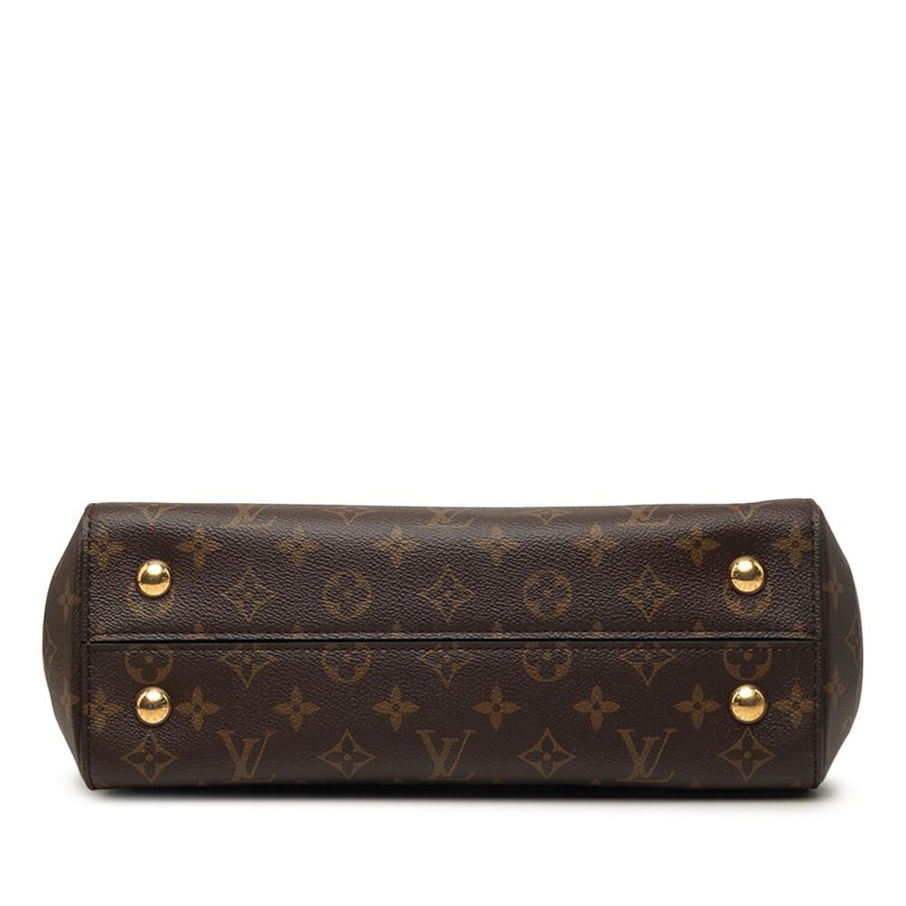 Louis Vuitton Cluny