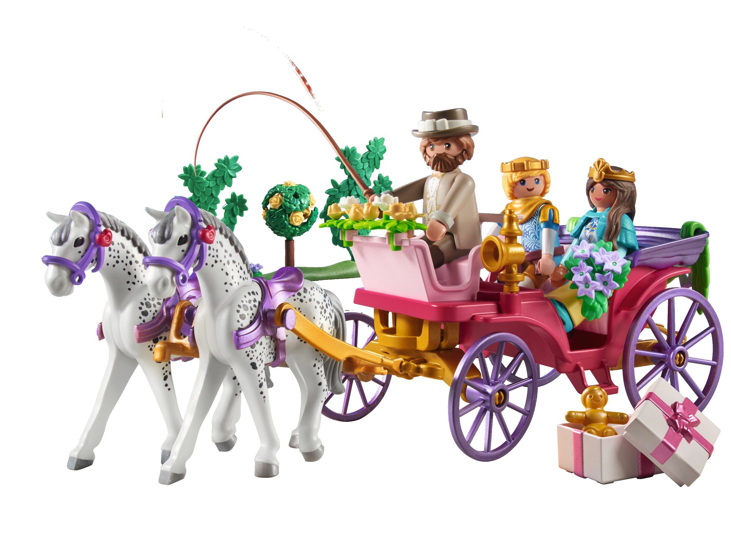Carriage Ride