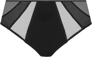 KINTAI FULL BRIEF