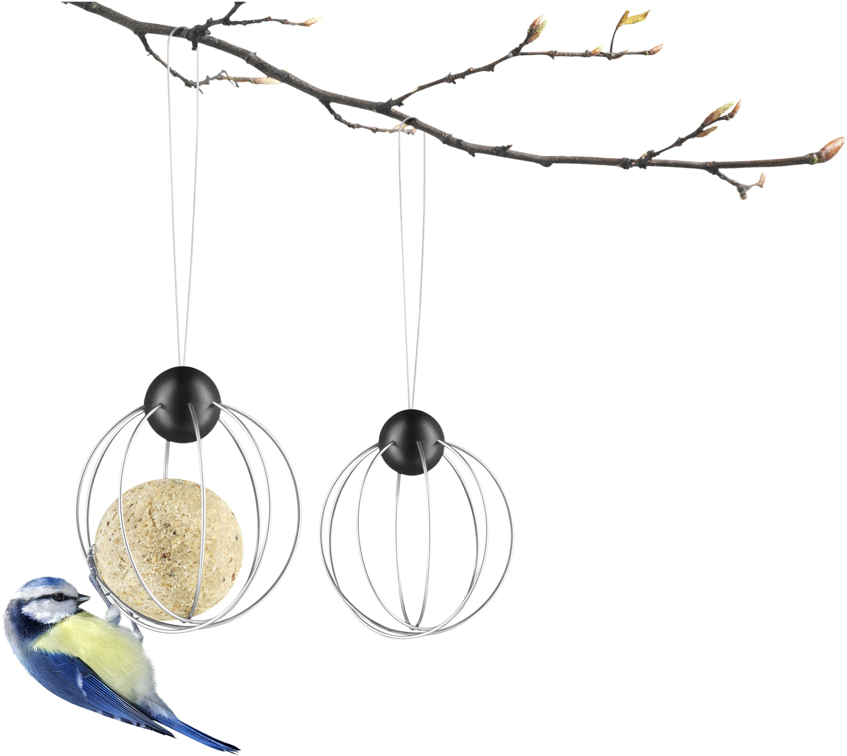 Talgbollsh?llare 2 st