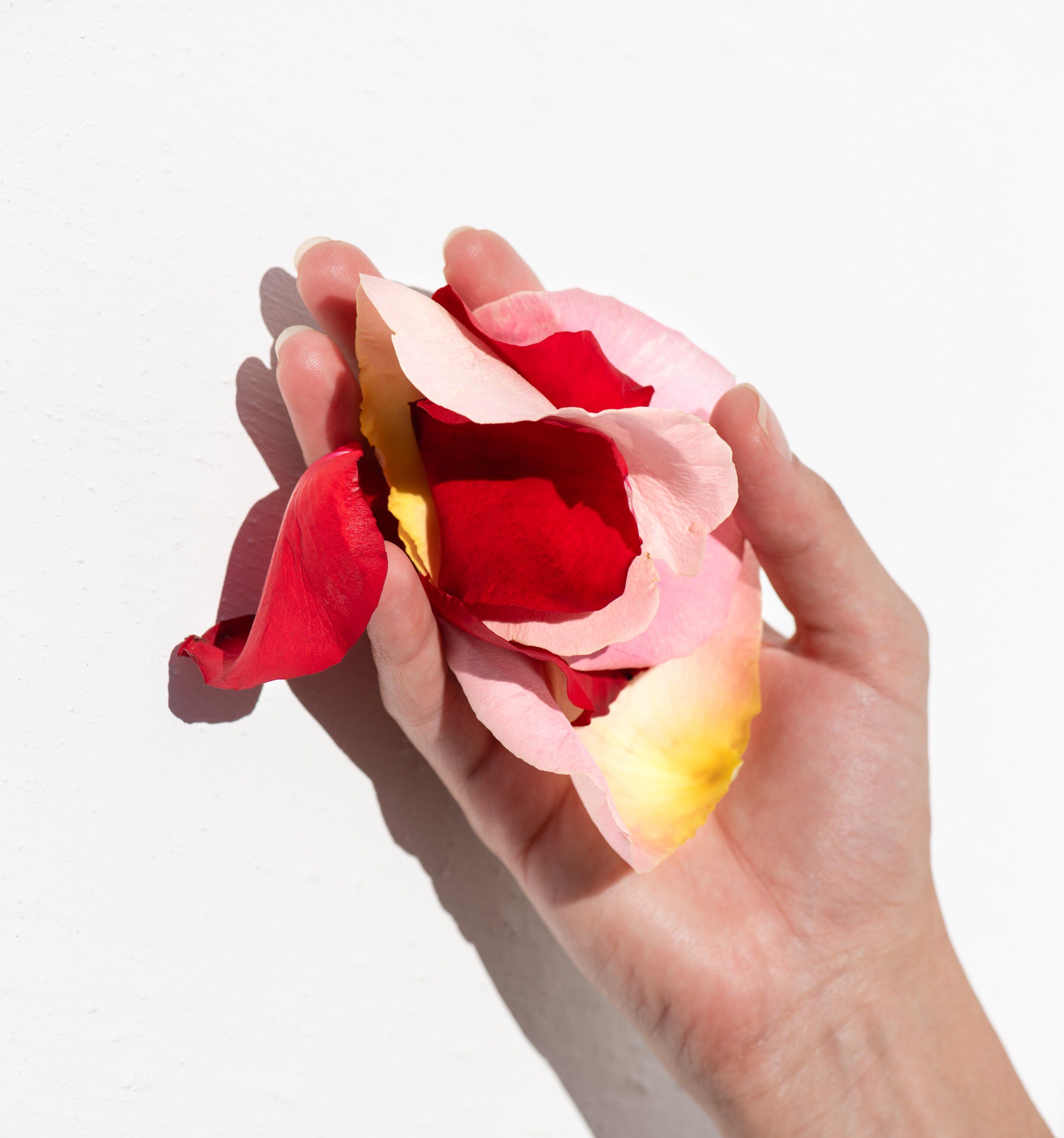 Apothecary Wild Rose Night-Brightening Sleeping Facial