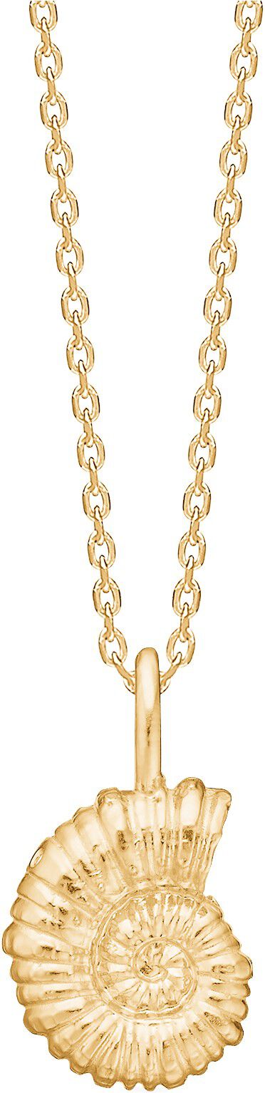 Seashell Secrets Halsk&aelig;de - Forgyldt