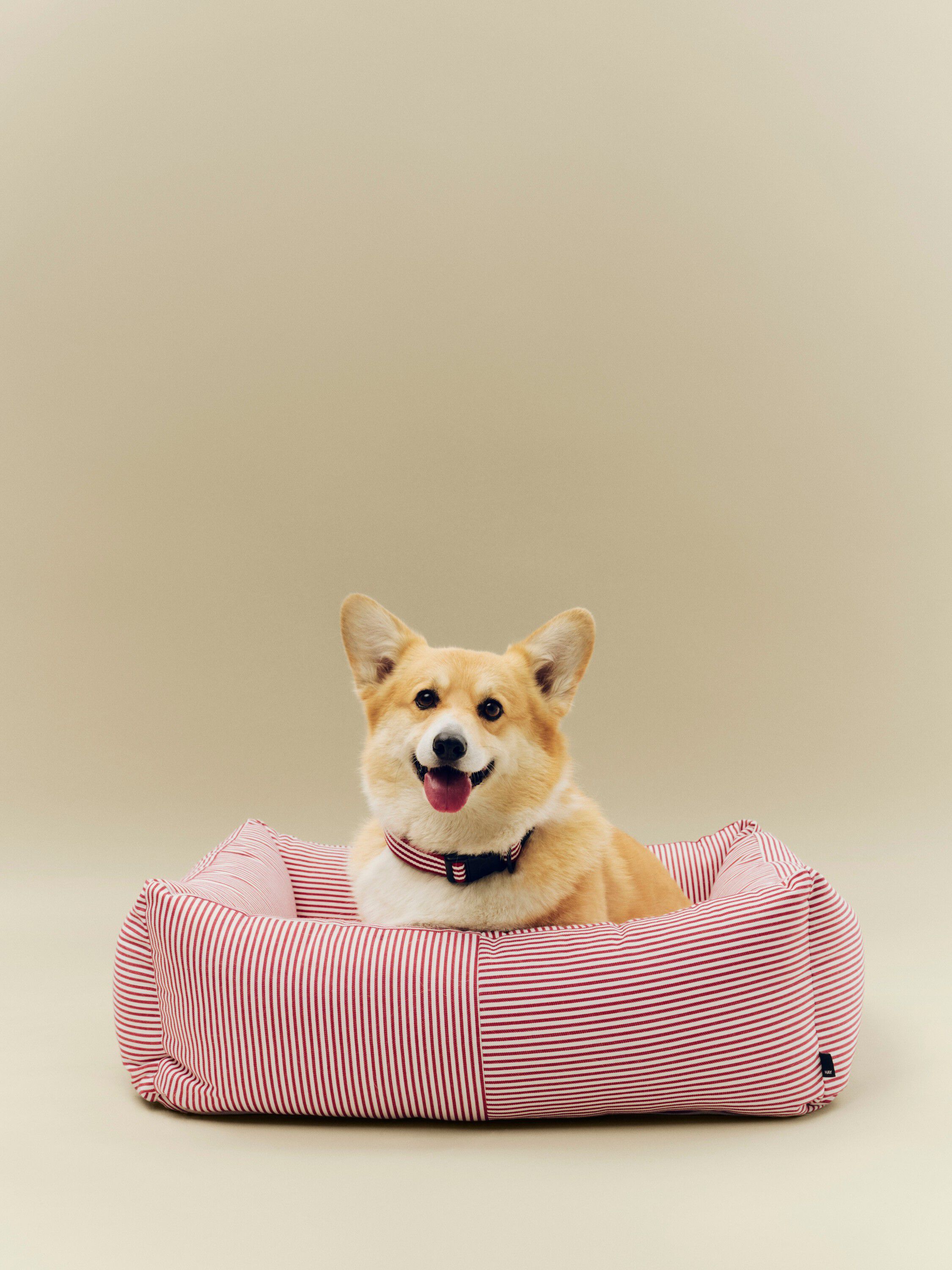 HAY Dogs Bed Zip-Medium-Red and whi