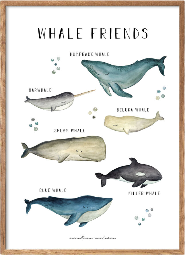 Nicoline Victoria-Kids - Whale friends