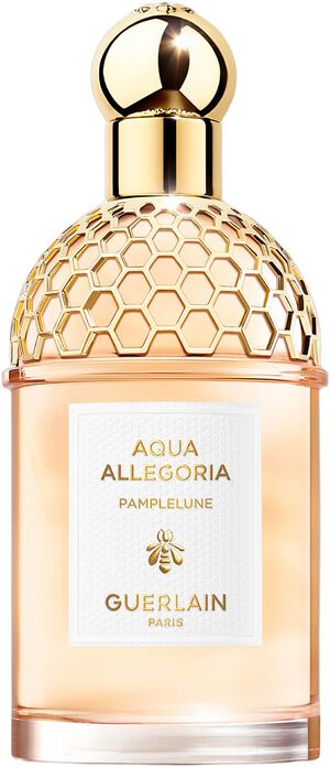 AA PAMPLELUNE EDT 125ML