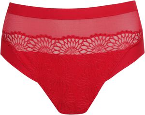 Sophora full briefs