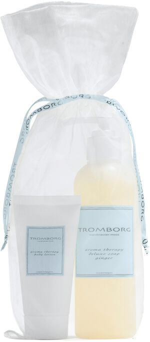 Aroma Therapy Deluxe Soap Ginger Ga