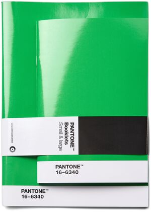 Pantone BOOKLETS SET OF 2 DOTTED - Green