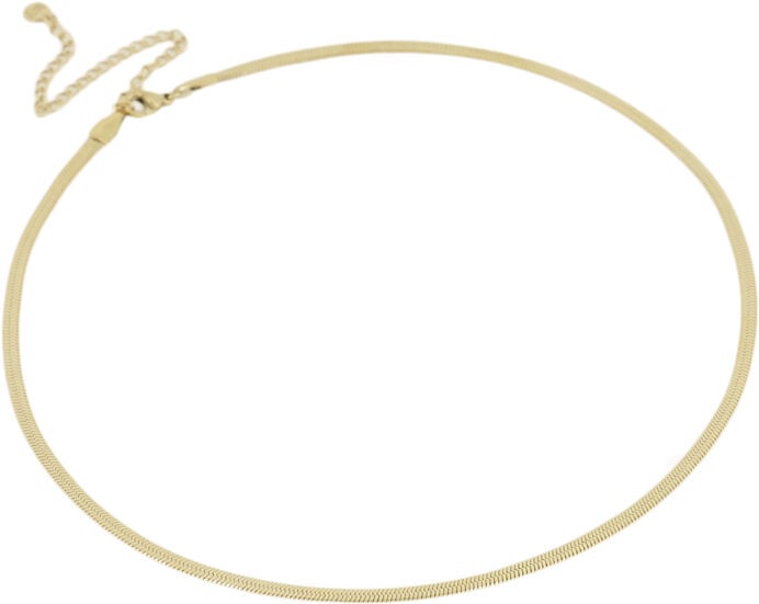 Halsband utan h&auml;nge