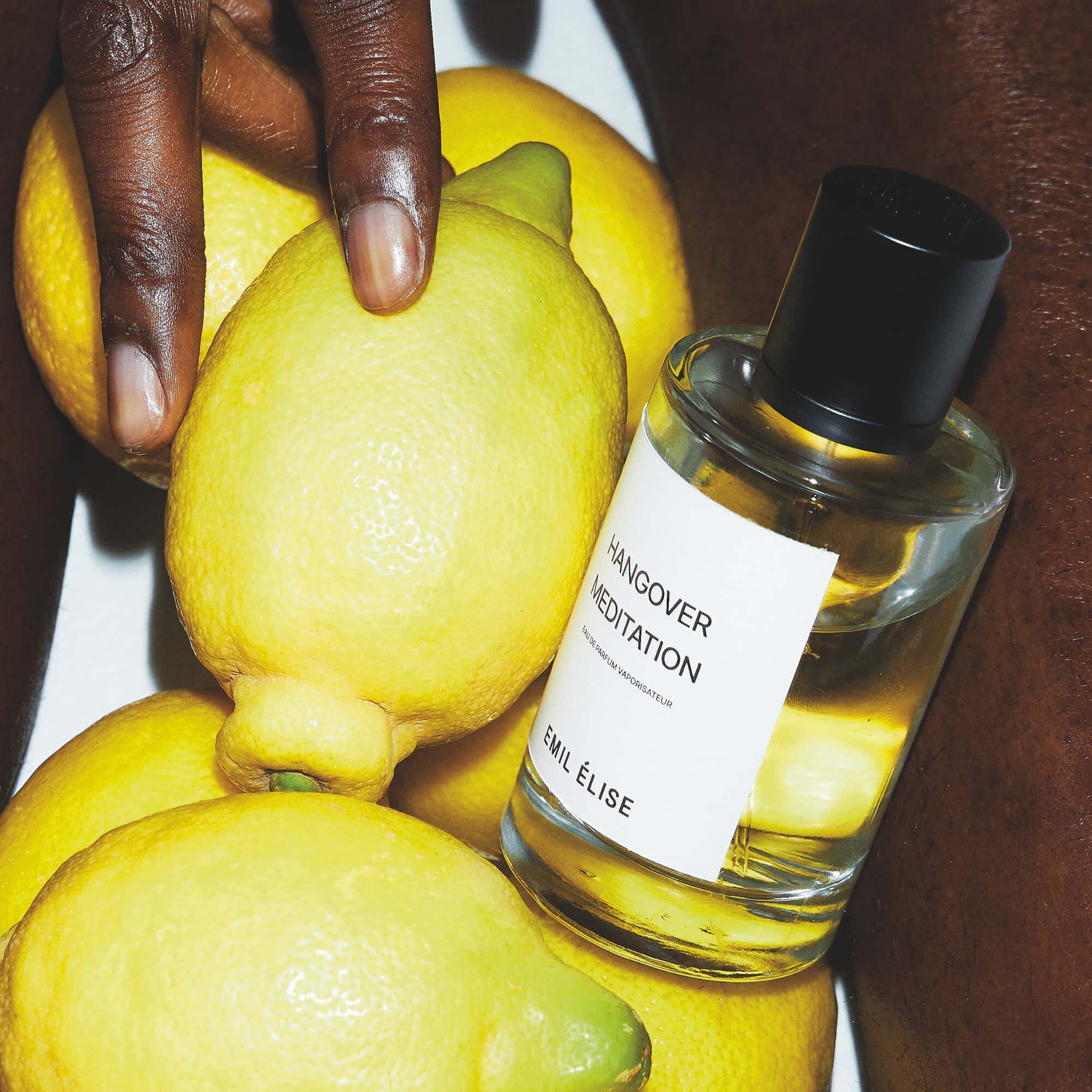EMIL &Eacute;LISE Hangover Meditation EdP 100 ml