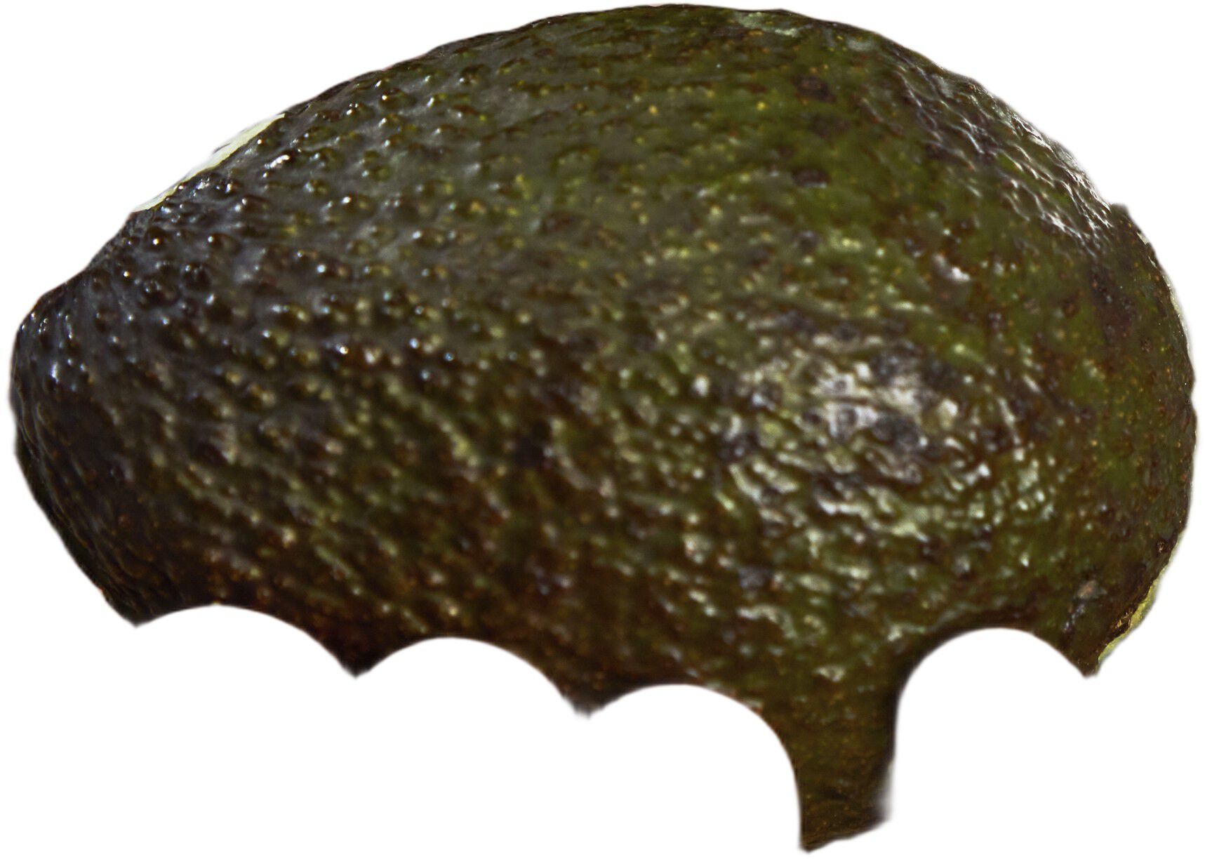 FOUR STAR Allkniv 130 Tandad egg