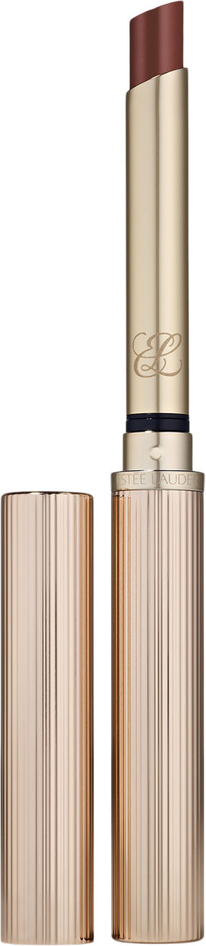 Pure Color Explicit Slick Shine Lipstick