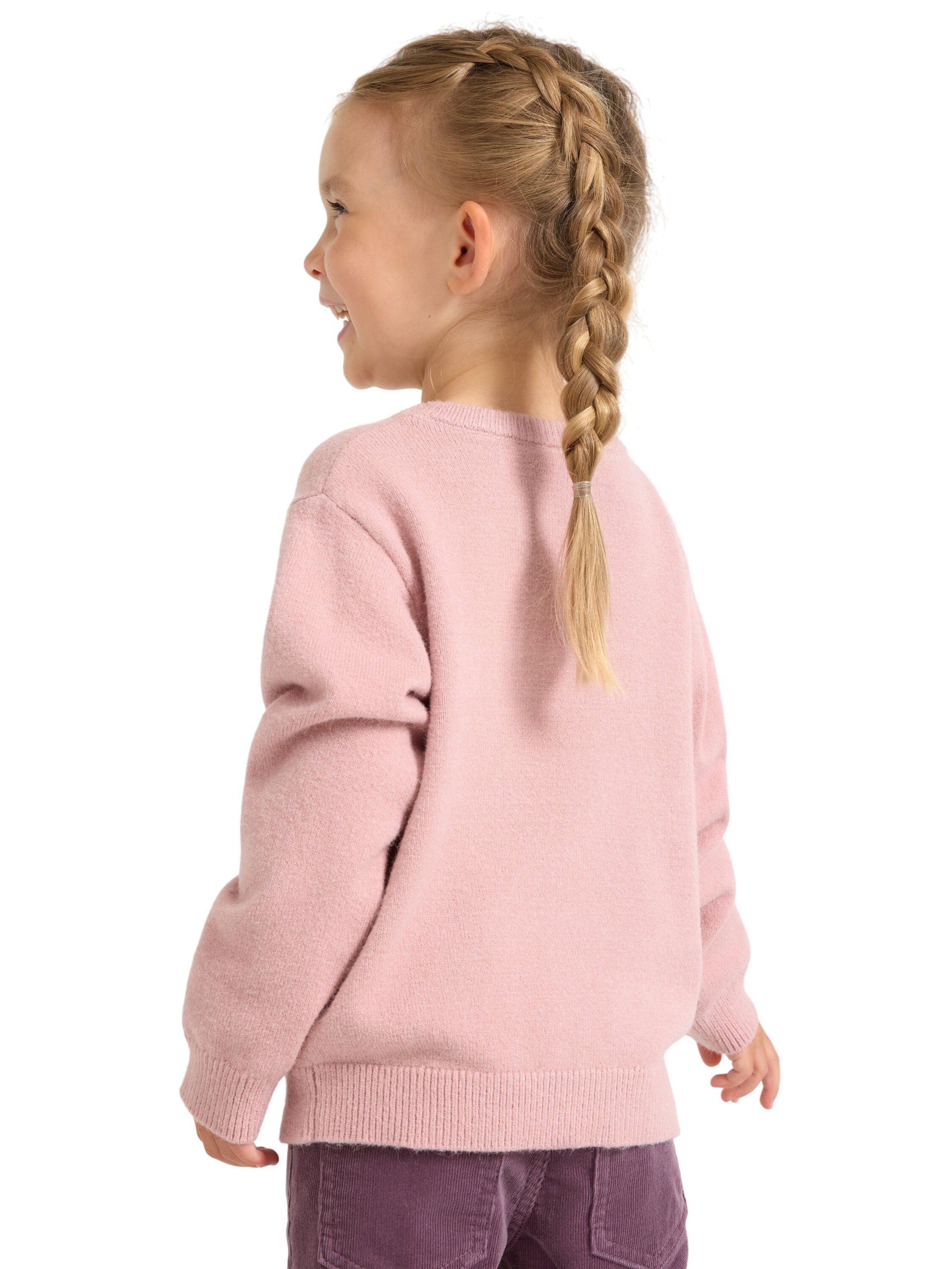 Sweater intarsia animal placem