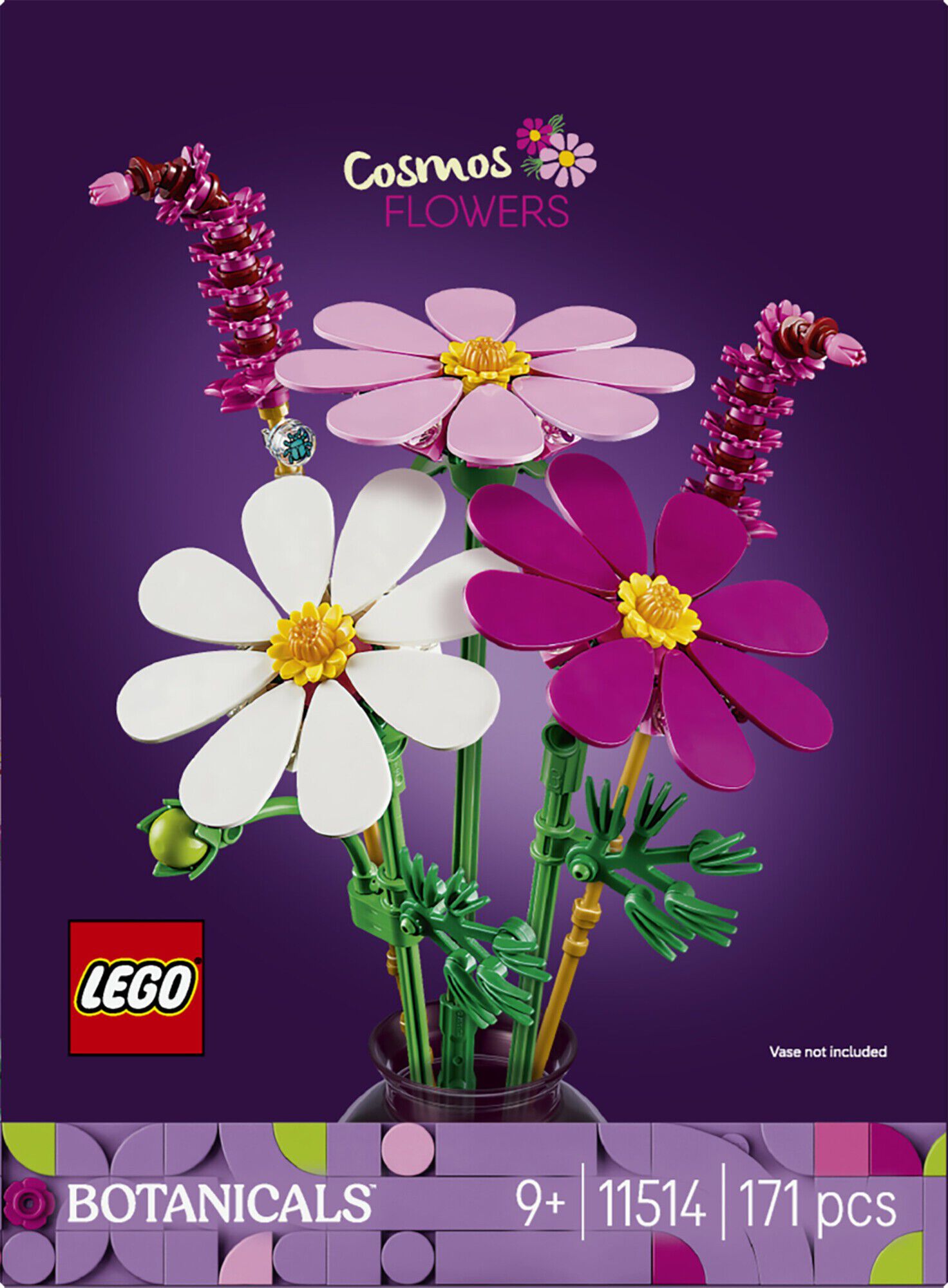 Stolt kavaler-blomster 11514