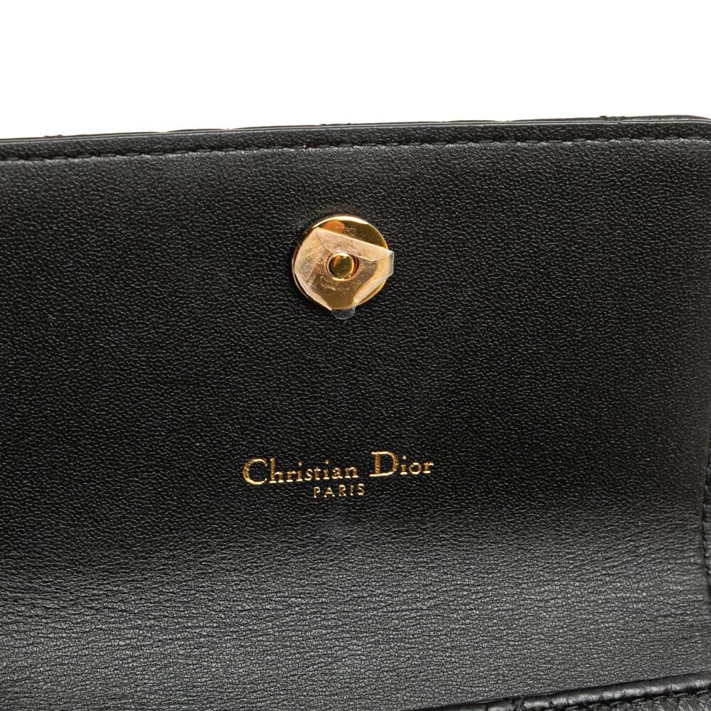 Dior Belt Bag
